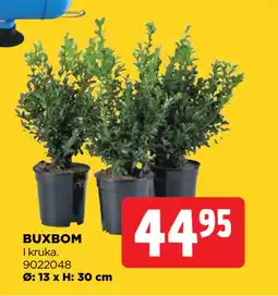 Jem&Fix BUXBOM erbjuda