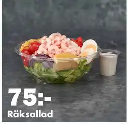 Biltema Räksallad erbjuda