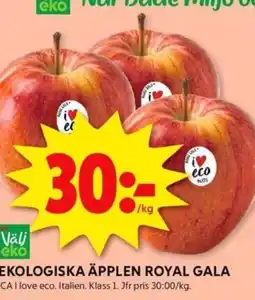 ICA Kvantum EKOLOGISKA ÄPPLEN ROYAL GALA erbjuda