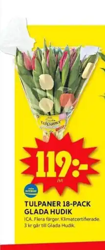 ICA Kvantum TULPANER 18-PACK GLADA HUDIK erbjuda