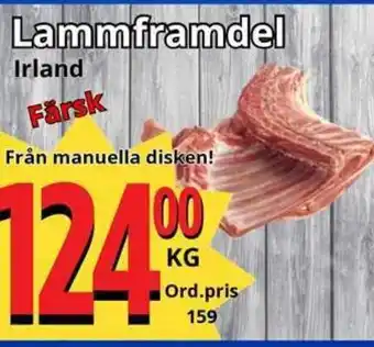 Supergrossen Lammframdel Irland erbjuda