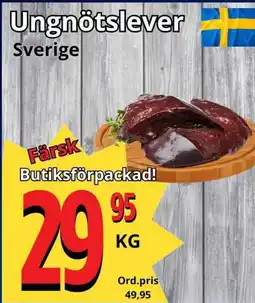 Supergrossen Ungnötslever erbjuda