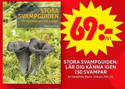 ICA Maxi Stora svampguiden: lär dig känna igen 150 svampar erbjuda