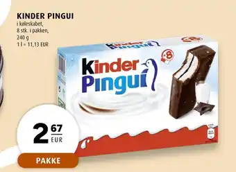 Scandinavian Park KINDER PINGUI erbjuda