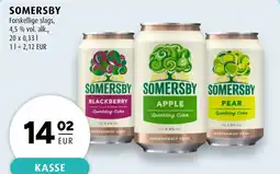 Scandinavian Park SOMERSBY erbjuda