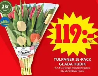 ICA Maxi Tulpaner 18-pack glada hudik erbjuda