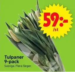 ICA Supermarket Tulpaner 9-pack erbjuda