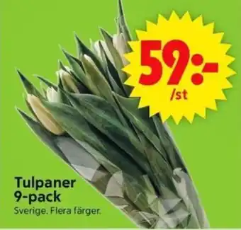 ICA Supermarket Tulpaner 9-pack erbjuda