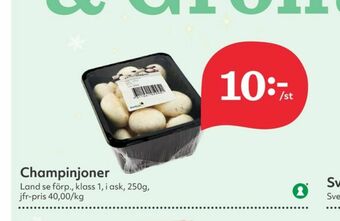 Hemköp Champinjoner erbjuda