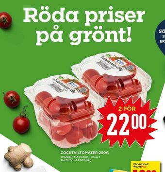 Willys Cocktailtomater erbjuda