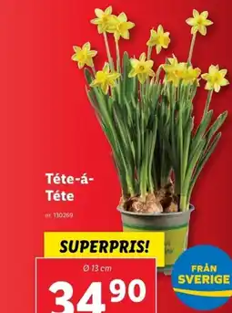 Lidl Téte-á- Téte erbjuda