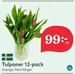 Hemköp Tulpaner 12-pack erbjuda