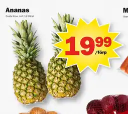 Pekås Ananas erbjuda