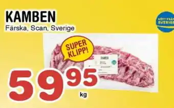 Nya Pulsen SCAN Kamben erbjuda