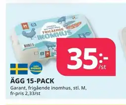 Tempo Ägg 15-pack erbjuda