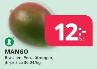 Tempo Mango erbjuda