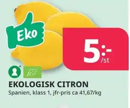 Tempo Ekologisk citron erbjuda