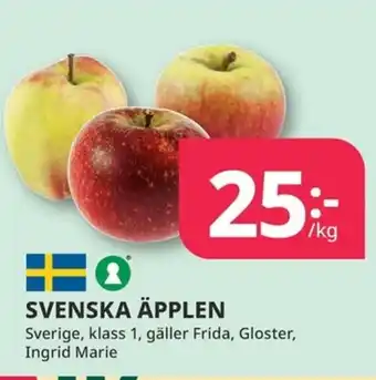 Tempo Svenska äpplen erbjuda