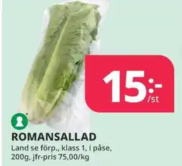 Tempo Romansallad erbjuda