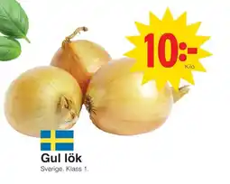 Matöppet Gul lök erbjuda