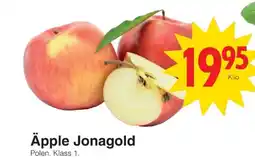 Matöppet Äpple jonagold erbjuda