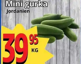 Supergrossen Mini gurka erbjuda