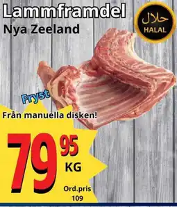 Supergrossen Lammframdel erbjuda