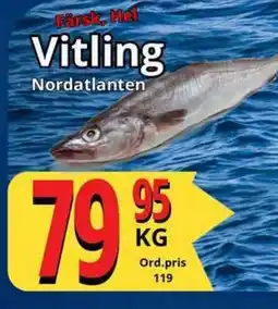 Supergrossen Vitling erbjuda