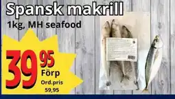 Supergrossen Spansk makrill erbjuda