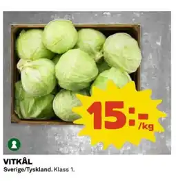 Coop Vitkål sverige/tyskland. klass 1. erbjuda