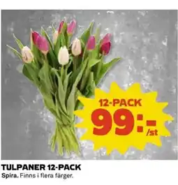 Coop Tulpaner 12-pack erbjuda