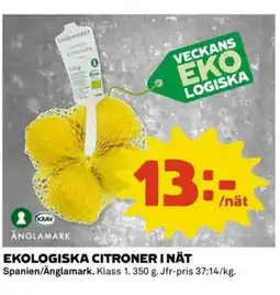 Coop Ekologiska citroner i nät erbjuda