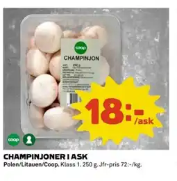 Coop Champinjoner i ask erbjuda