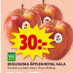 ICA Kvantum Ekologiska äpplen Royal gala erbjuda