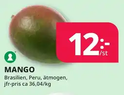 Bingebyhallen Mango erbjuda