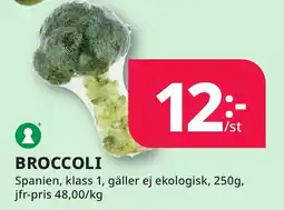 Bingebyhallen Broccoli erbjuda