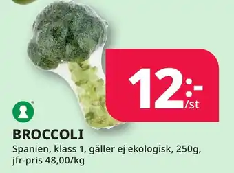 Bingebyhallen Broccoli erbjuda