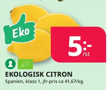 Bingebyhallen Ekologisk citron erbjuda