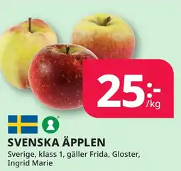 Bingebyhallen Svenska äpplen erbjuda