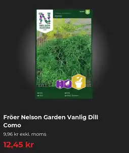 Granngården Fröer Nelson Garden Vanlig Dill Como erbjuda