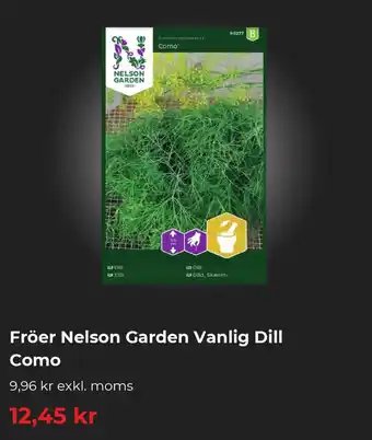 Granngården Fröer Nelson Garden Vanlig Dill Como erbjuda