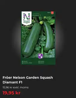 Granngården Fröer Nelson Garden Squash Diamant F1 erbjuda