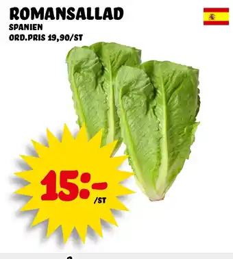 Nelins Romansallad erbjuda