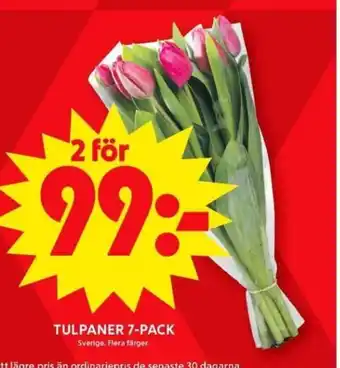 ICA Maxi TULPANER 7-PACK erbjuda