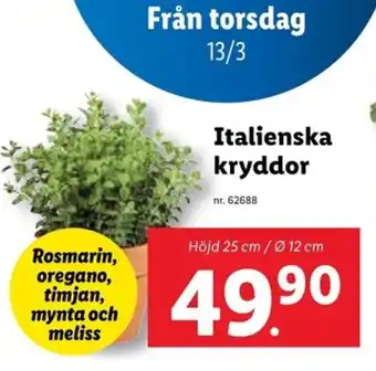 Lidl Italienska kryddor erbjuda