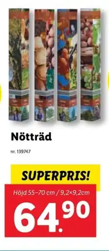 Lidl Nötträd erbjuda