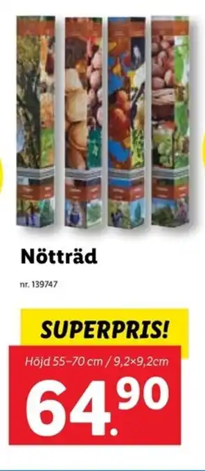 Lidl Nötträd erbjuda