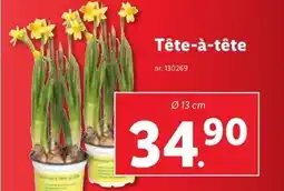 Lidl Tête-à-tête erbjuda