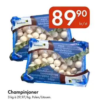 Snabbgross Champinjoner erbjuda