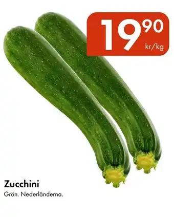 Snabbgross Zucchini erbjuda